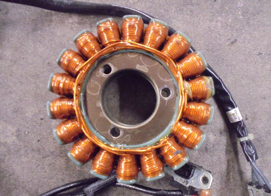 Lichtmaschine Triumph Tiger 660 Sport