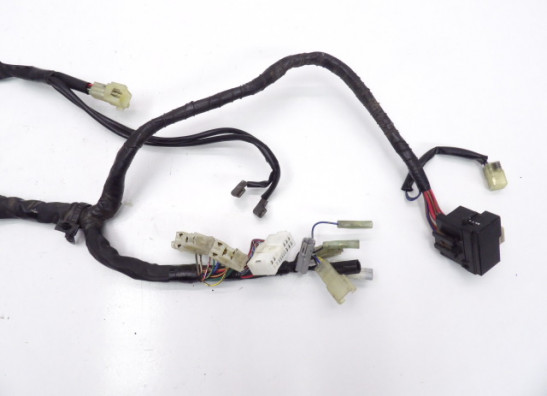 Wire Harness Yamaha FZ6