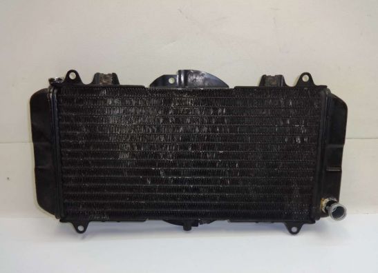 Radiator Yamaha FZR 600