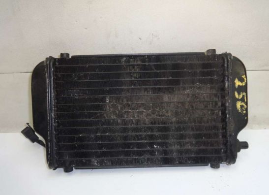 Radiateur Kawasaki EL 250