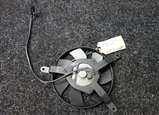 Fan Kawasaki Z 800