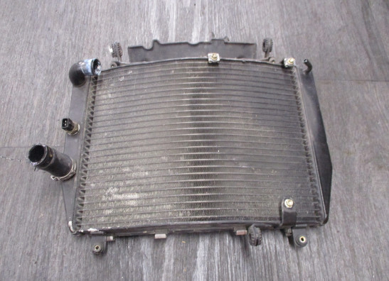 Radiateur MV Agusta 910 Brutale