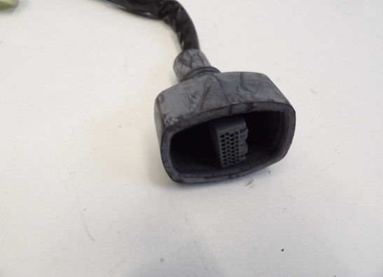 Wire Harness Kawasaki ZX 10 R