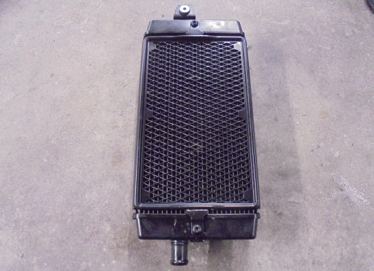 Kuhler Triumph Bonneville T 120