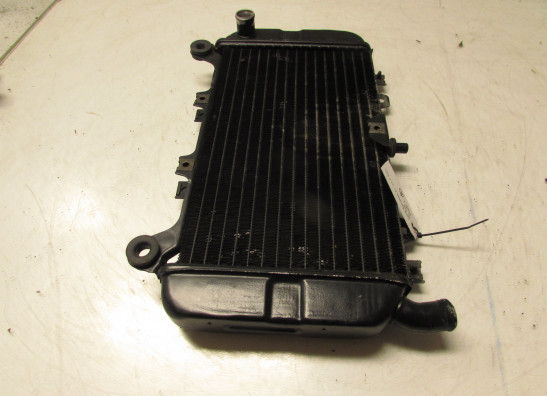 Kuhler Kawasaki ZZR 600