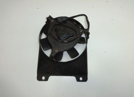 Fan Yamaha FZ 750