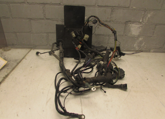 Kabelbaum BMW R 850 R