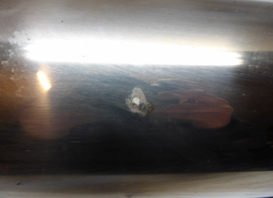 Uitlaat Suzuki GSF 650 Bandit