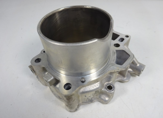 Zylinder Aprilia RSV 1000