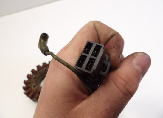 Dynamo Kawasaki ZL 600