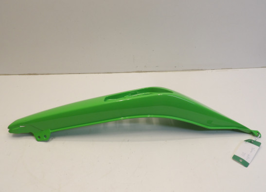 Heck links Kawasaki ER 6