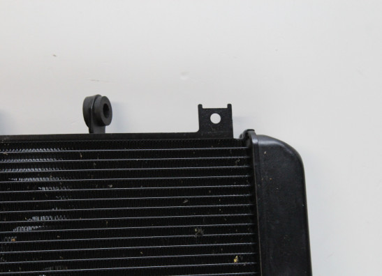 Radiateur Kawasaki Z 900