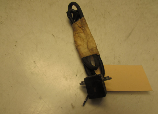 Sonstiges Honda Goldwing GL