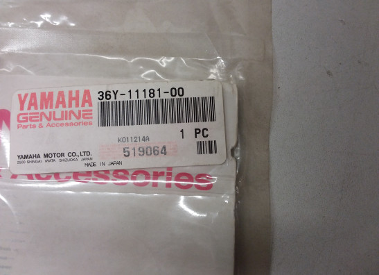 Cilinderkop Yamaha FJ 1100