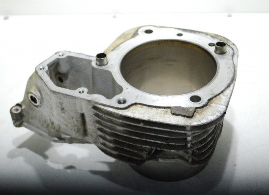 Zylinder BMW R 1150 GS