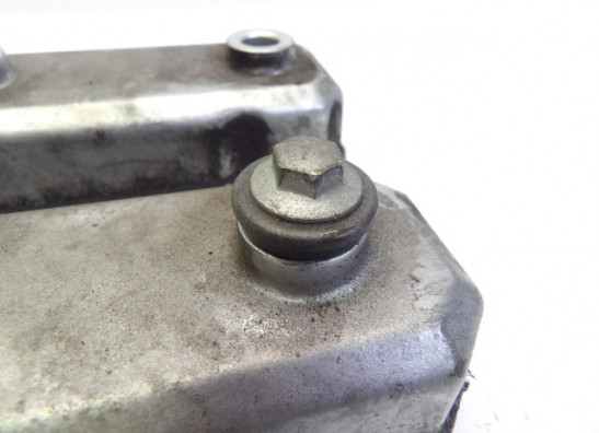 Kleppendeksel Yamaha FZR 1000