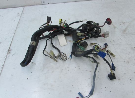 Kabelboom Suzuki GSX F 600