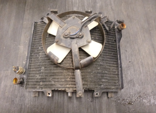 Radiator Kawasaki ZZR 1100
