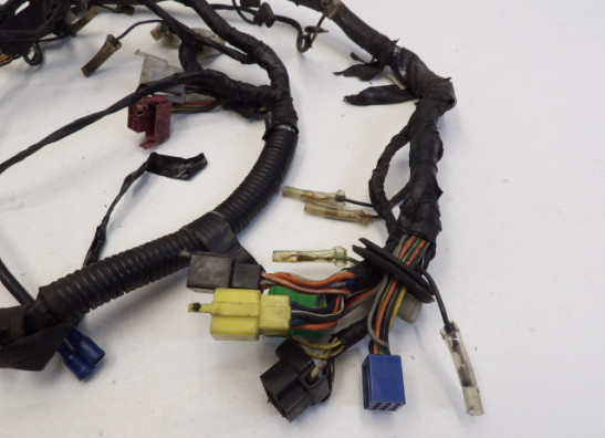 Wire Harness Suzuki GS 500 E