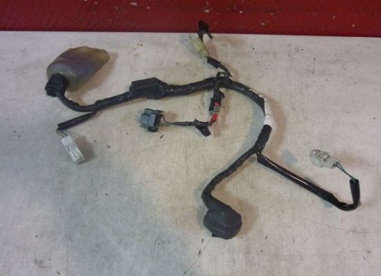 Kabelbaum vorne Honda CBR 1100 XX