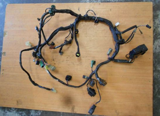 Wire Harness Suzuki DL 650 V STROM