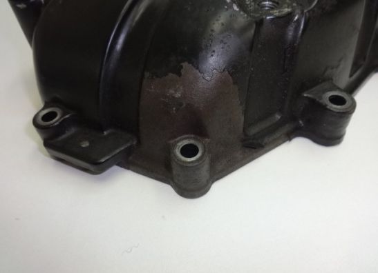 Carterpan BMW F 800 S - ST