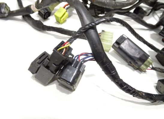 Wire Harness Suzuki DL 650 V STROM
