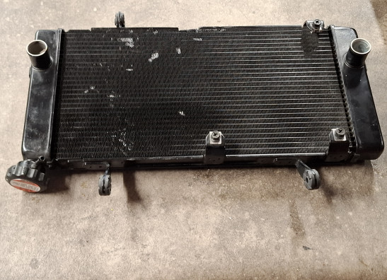 Radiateur Suzuki DL 1000 V STROM