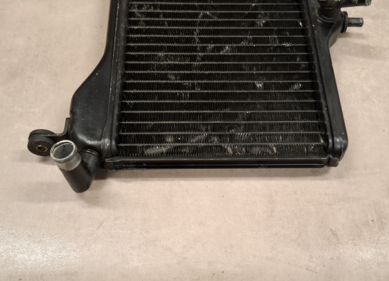 Radiator Yamaha RD 350 LC