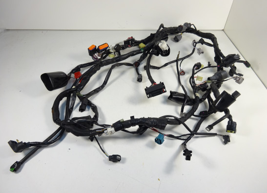 Kabelboom Kawasaki VERSYS 650