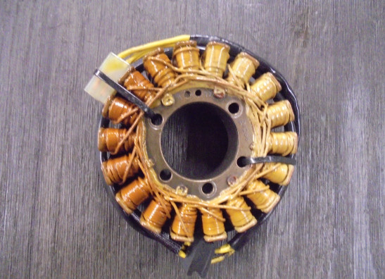 Dynamo Ducati Multistrada 1000