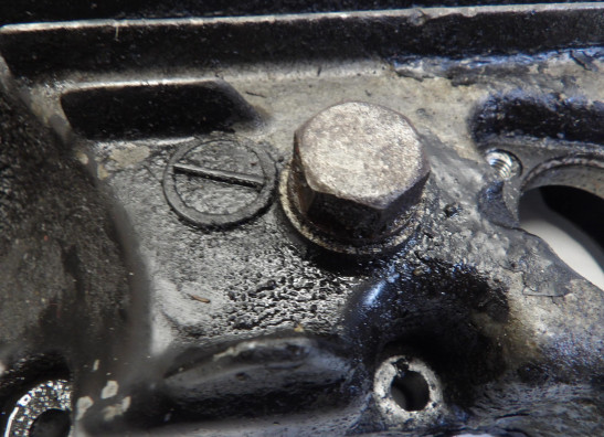 Olwanne Kawasaki GPZ 550