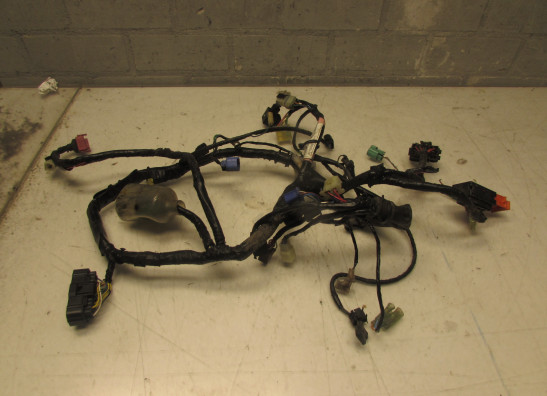 Kabelboom Honda CBF 500