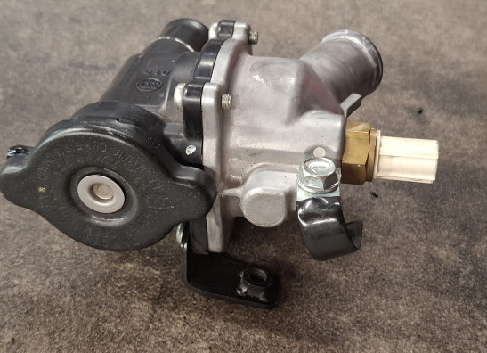 Thermostaat Kawasaki Z 800