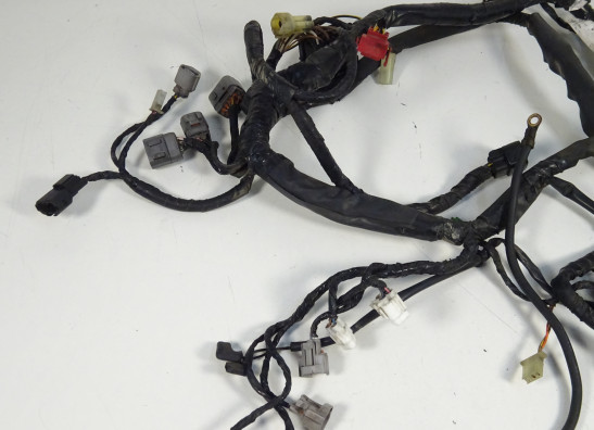 Wire Harness Kawasaki ER 6