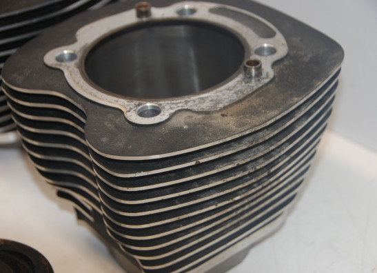 Cilinderblok Harley Davidson Softtail