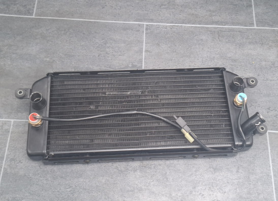 Radiator Suzuki VZ 800 marauder