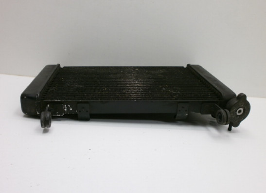 Radiator Yamaha YZF 600 Thundercat