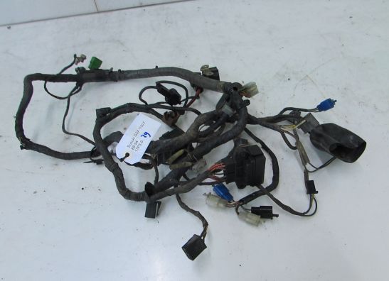 Kabelboom Suzuki GSX F 1100