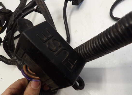 Kabelboom Triumph Sprint ST 1050