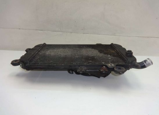 Kuhler Kawasaki VN 700  750