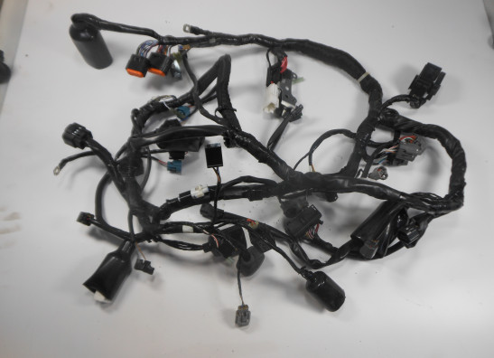 Wire Harness Kawasaki VERSYS 650