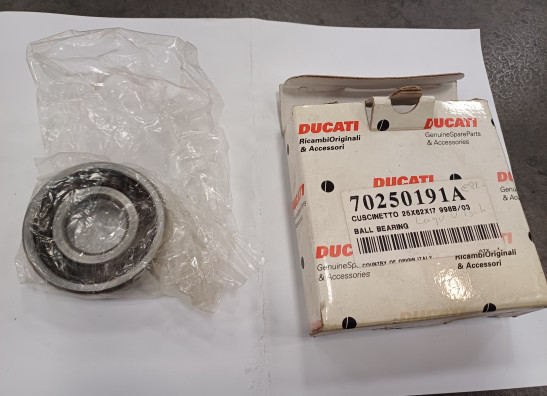 Overig Ducati Multistrada 1100