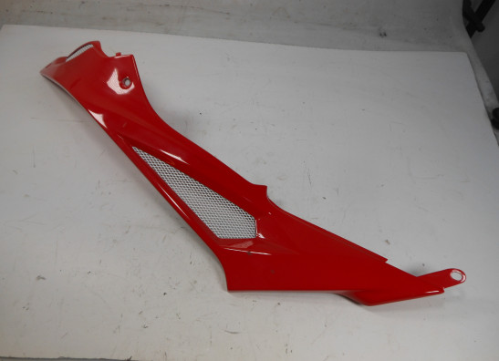 Seitenverkleidung links klein BMW S 1000 RR