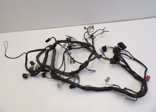 Wire Harness Kawasaki ZX 9 R