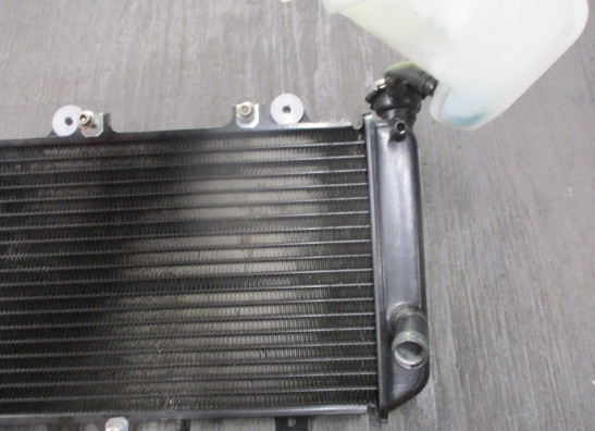Radiateur BMW G 310 GS