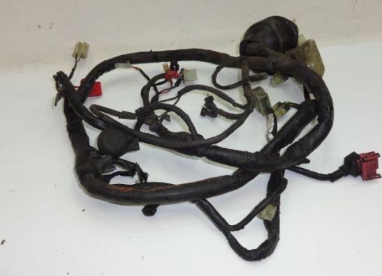 Wire Harness Honda TRANSALP