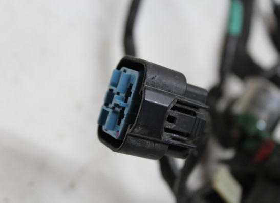 Kabelboom Honda CBF 250