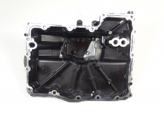 Carterpan Kawasaki Z 1000