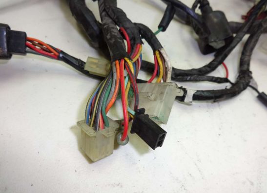 Wire Harness Kawasaki ZX 10 R